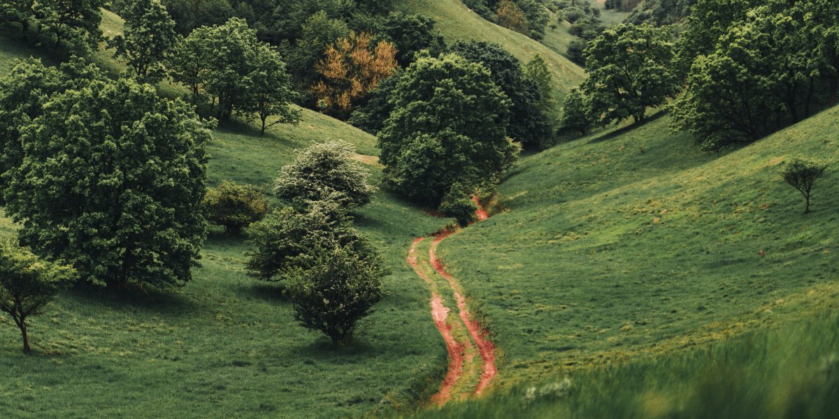 Jak studiować Biblię?