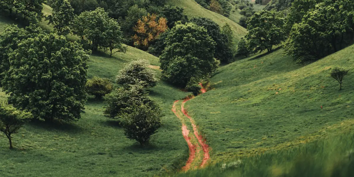 Wybierz życie